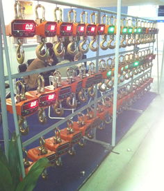 海南电子吊秤厂家直销 精准、可靠、高效的称重解决方案